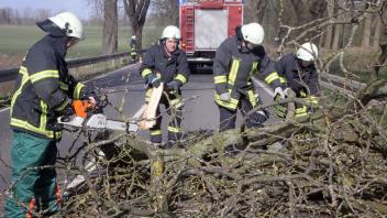 Ein Sturmtief sorgt vielerorts für Behinderungen durch umgefallene Bäume und Äste. Die Kameraden der Freiwilligen Feuerwehr Obere Warnow waren bei einem der vergangenen Stürme nahe Lenschow auf der L 16 Parchim – Mestlin im Einsatz.