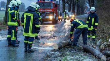 Feuerwehrleute räumen einen umgestürzten Baum von einer Kreisstraße bei Dragun.