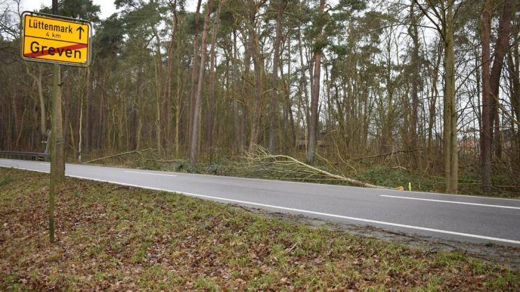 Erste Baumstumpen und Konturen des vorgesehenen rund drei Kilometer langen Trassenverlaufes zeigen, zwischen Greven und Lüttenmark haben die Vorbereitungen für den Lückenschluss des Radweges an der B195 begonnen.