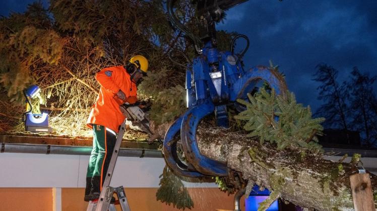 Einsatzkräfte des Technischen Hilfswerks räumen in Stralsund einen umgestürzten Baum von einem Dach.