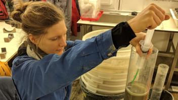 In den Proben hat Friederike Säring die neue Wurmart entdeckt. Für die Untersuchung bereitet sie die Sedimentkerne vor und schneidet sie in zentimeterdicke Proben.