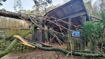 Die Bühne am Teich des Tierparks Neumünster wurde durch einen umstürzenden Baum zerstört.