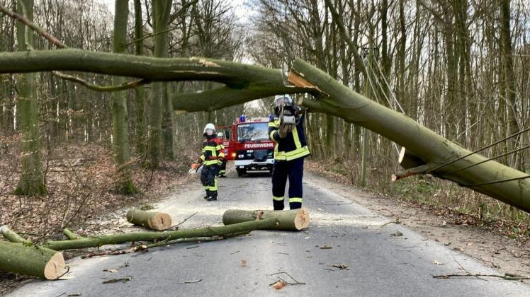 Nichts ging mehr Sonntagvormittag zwischen Veelböken und Hindenberg. Ein Baum hatte die Straße blockiert. Die Feuerwehr Veelböken kam zum Einsatz.