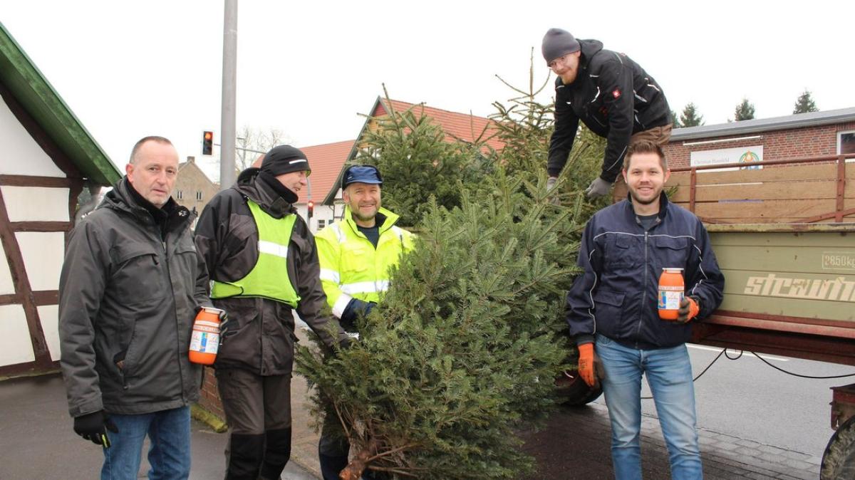 Übersicht Wann im Wittlager Land die Tannenbäume abgeholt werden NOZ