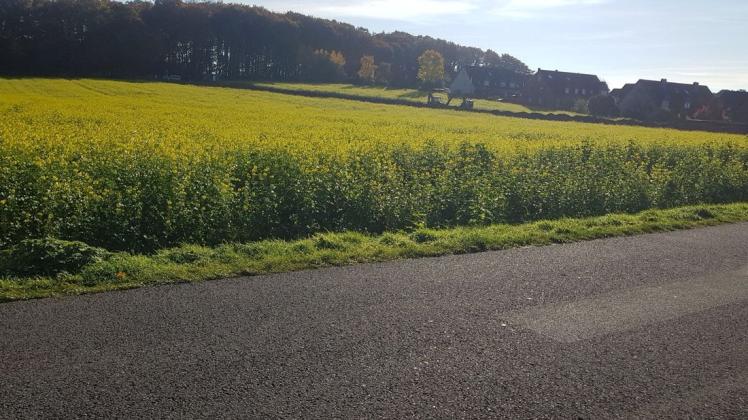 Hier entsteht in Lotte das neues Baugebiet "Schafwinkel". Bürger können über die Internetseite der Gemeinde ihr Interesse an einem Baugrundstück bekunden. (Archivbild) Hier entsteht in Lotte das neues Baugebiet "Schafwinkel". Bürger können über die Internetseite der Gemeinde ihr Interesse an einem Baugrundstück bekunden. (Archivbild)