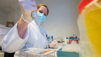 Auch in Schleswig-Holstein sind PCR-Tests oftmals kostenlos. Hier erfahren Sie, welche Voraussetzungen Sie erfüllen müssen.