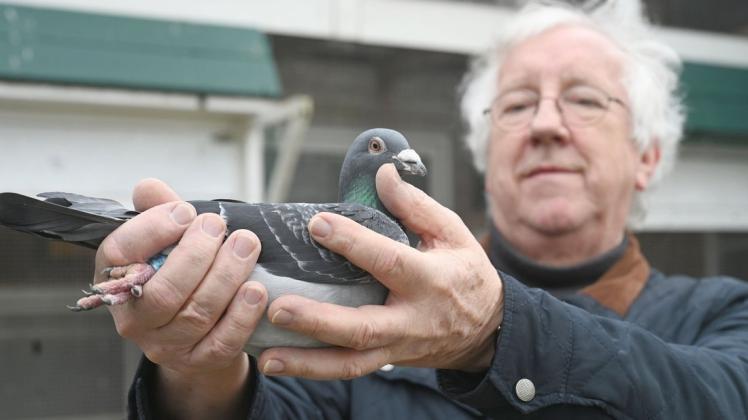 Herbert Motte züchtet seit seinem achten Lebensjahr Tauben.