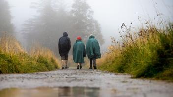 Wer in Schleswig-Holstein in den kommenden Tagen einen Spaziergang plant, sollte seine Regenjacke nicht vergessen.