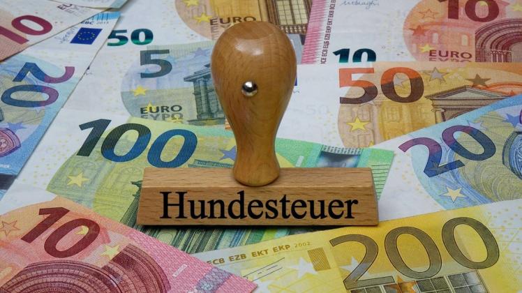 120 Euro Für Den Ersten Hund Heidgraben Erhöht Hundesteuern Shz 