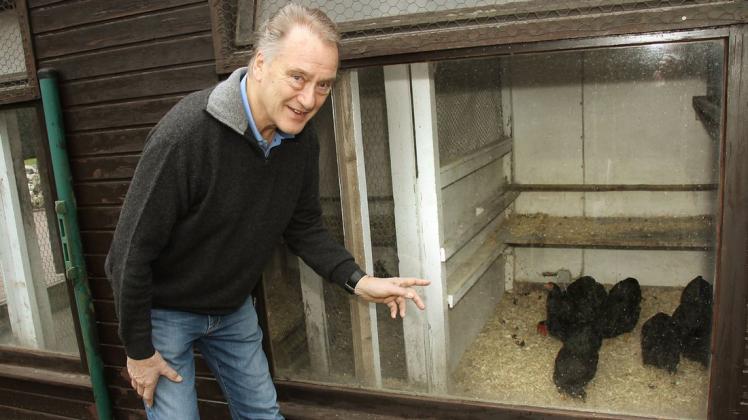 Bernd Peters besitzt noch acht schwarze Wyandotten-Hühner. Wenn er auf seine Zeit als Zuchtaussteller zurückblickt, kommen ihm Erinnerungen hoch.