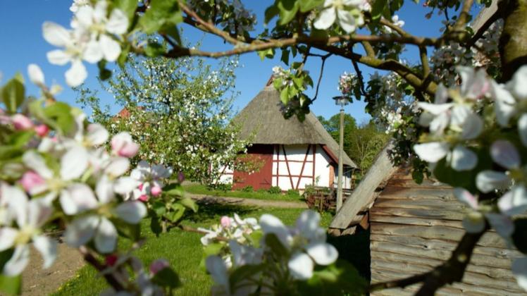 Frühling in Mueß. Das Freilichtmuseum startet am Sonnabend in die Saison.
