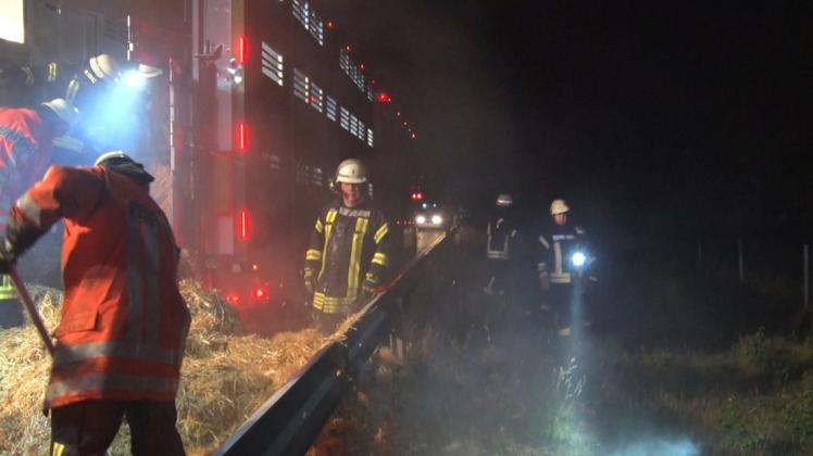 Bei einem Feuer in einem Tiertransporter auf der Autobahn 31 in Wietmarschen sind Kälber gestorben.  