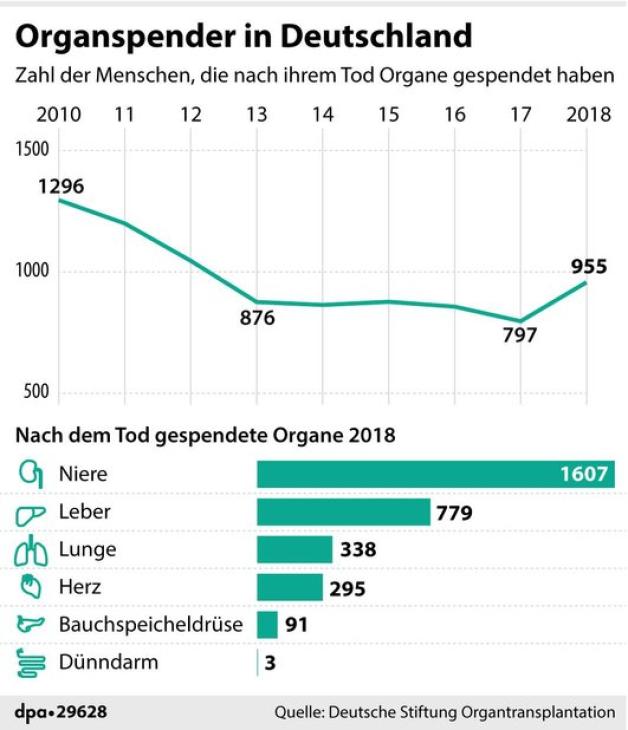 Erstmals seit 2010 ist die Zahl der Organspender wieder gestiegen. Grafik: dpa-infografik GmbH