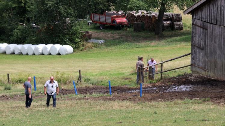 Polizisten in Zivil stehen auf einer Weide, auf der zuvor ein Stier zwei Menschen getötet hatte. Foto: dpa/Alexander Auer