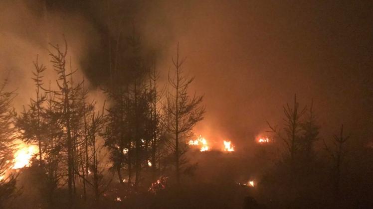 Der hessische Seulingswald steht in Flammen. Foto: dpa/LK HEF-ROF