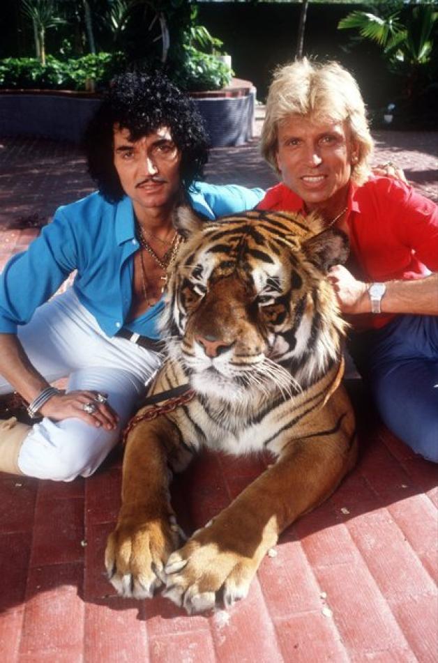 Archivbild aus dem Jahr 1980: Die Magier und Dompteure Siegfried Fischbacher (r) und Uwe Horn, alias Roy (l), aufgenommen im Frühjahr 1981 mit einem ihrer Tiger auf ihrem Anwesen in Las Vegas. Archivbild aus dem Jahr 1980: Die Magier und Dompteure Siegfried Fischbacher (r) und Uwe Horn, alias Roy (l), aufgenommen im Frühjahr 1981 mit einem ihrer Tiger auf ihrem Anwesen in Las Vegas.