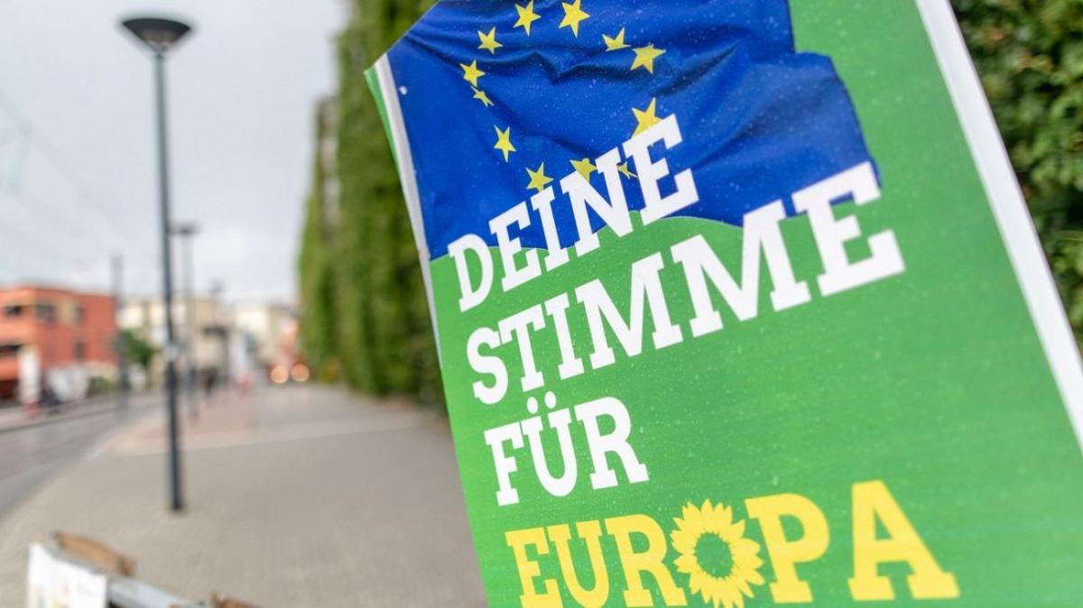 Grünen die Gewinner der Europawahl im