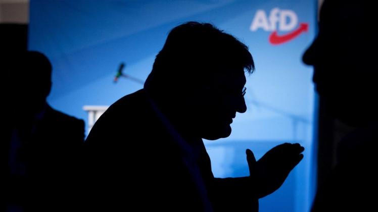 Jörg Meuthen (M), AfD-Spitzenkandidat für die Europawahl 2019, konnte für seine Partei vor allem im Osten Erfolge verbuchen. Foto: dpa/Christoph Soeder