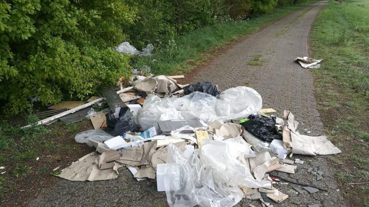 Mitten auf dem Weg haben bislang unbekannte Täter Müll in Schönemoor entsorgt. Foto: Jörg Stührmann