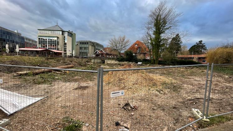 Den Bebauungsplan für dieses Grundstück am Kotthook will die Nordhorner Stadtverwaltung kippen. Dort wurden Anfang Februar mehrere Bäume unrechtmäßig gefällt. 