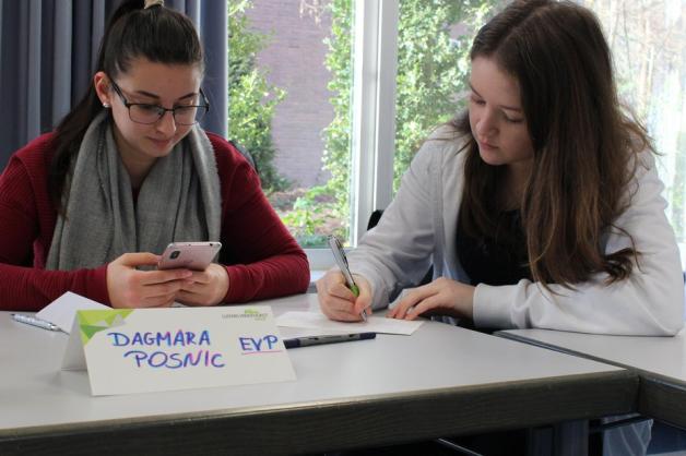 Jeder Schüler schlüpfte beim Planspiel in die Rolle eines Politikers oder eines Energieexperten, da mussten auch die Redebeiträge gut vorbereitet werden. Foto: Gymnasium Georgianum Jeder Schüler schlüpfte beim Planspiel in die Rolle eines Politikers oder eines Energieexperten, da mussten auch die Redebeiträge gut vorbereitet werden. Foto: Gymnasium Georgianum