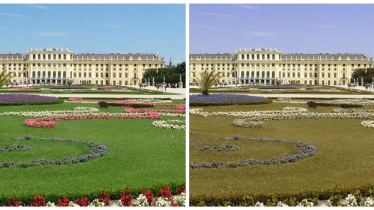 Wie Sieht Ein Farbenblinder Die Welt www.noz.de