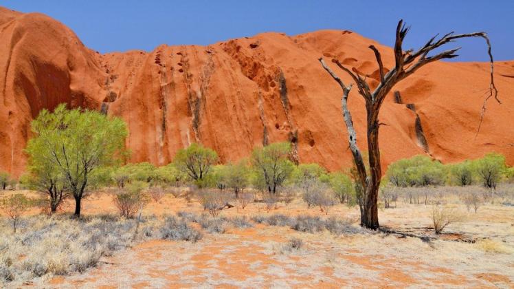 In größerer Entfernung eines Wanderweges wurde die Leiche der vermissten Deutschen im Outback entdeckt. Foto: imago/BE&W