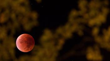 Der Mond wird am 21. Januar 2019 am frühen Morgen von 3.35 bis 7.51 Uhr während einer totalen Mondfinsternis in einen roten Schimmer getaucht sein. Archivfoto: Friso Gentsch/dpa