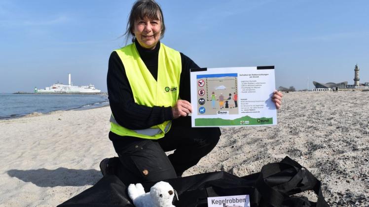 Die Kegelrobben kehren zurück an die Ostsee: Nicola Boll vom BUND-Netzwerk klärte am Dienstag über den Schutz von Robben auf.
