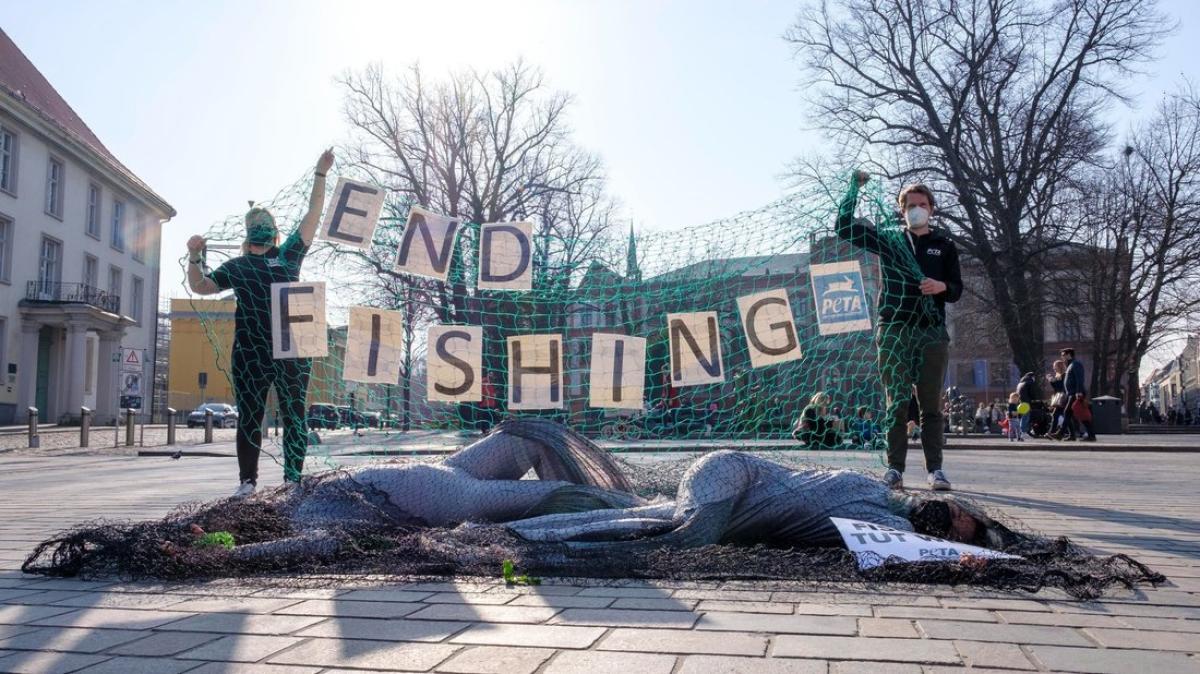 Peta hüllt in Rostock menschliche „Leichen” in SVZ