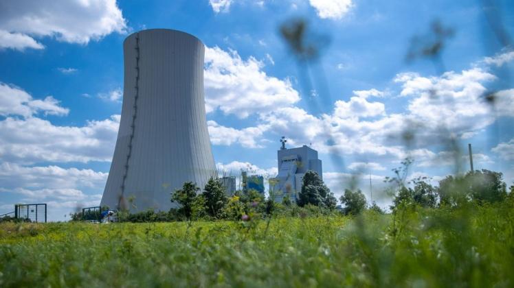 Das Rostocker Kohlekraftwerk könnte in den kommenden Jahren auf einen Betrieb mit Wasserstoff oder Biomasse umgestellt werden. (Symbolbild)