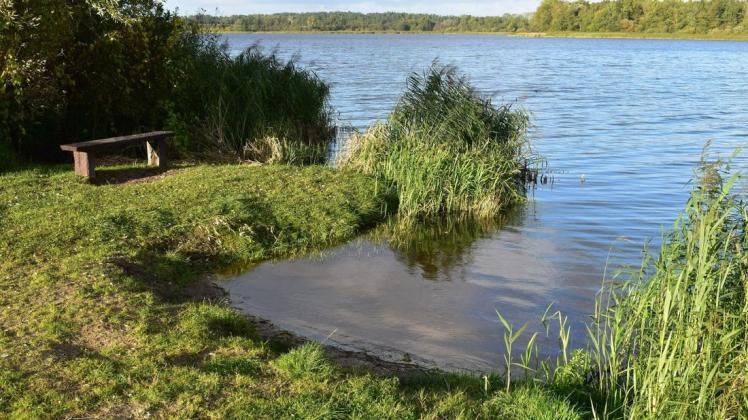 Die Badestelle am Neuhofer See im vergangenen Jahr. Auch zur neuen Saison soll es wieder schick werden rund um den See.