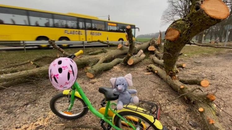 Nichts geht mehr für große und kleine Radfahrer auf dieser gesperrten Schotterpiste, die einst ein Radweg war und am Abzweig nach Groß Thurow durch einen umgestürzten Baum blockiert wird.