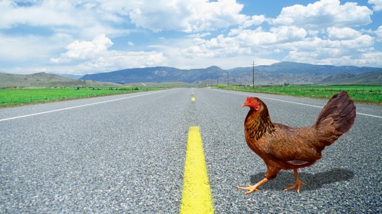 Wenn Du wolltest, könntest Du Dein eigenes Huhn auf Deiner eigenen Straße zwischen Deinen eigenen Felden halten.