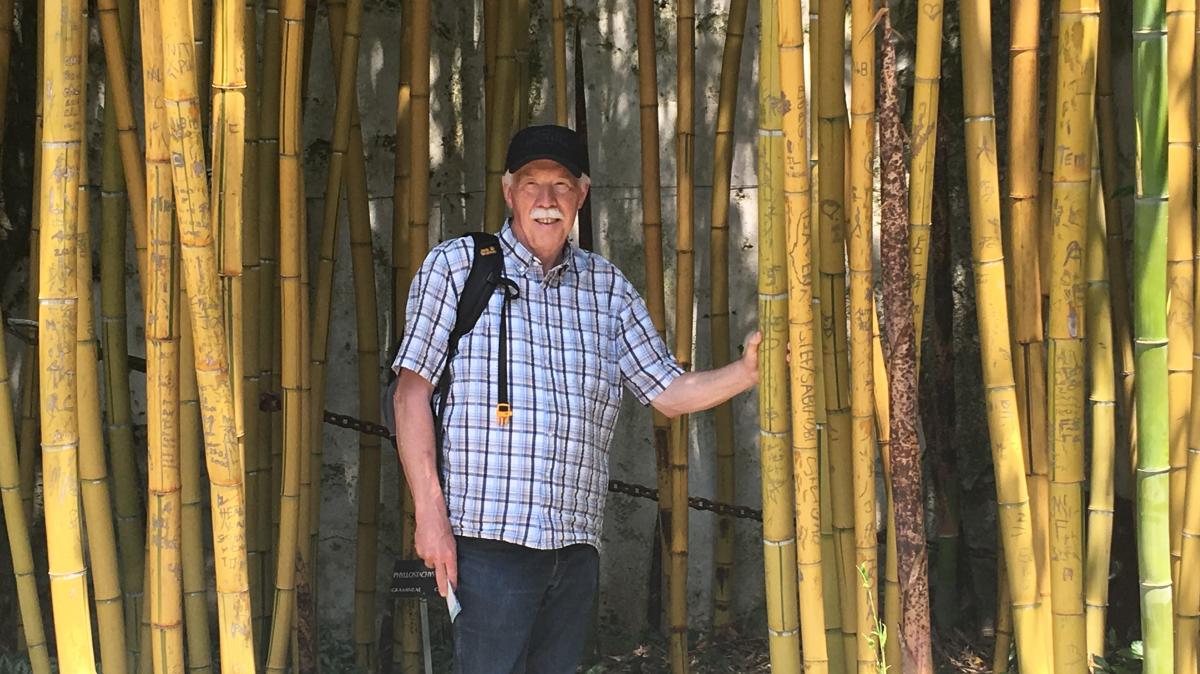 Experte bert bei Gartenschau Quakenbrck Natrlich ber Bambus