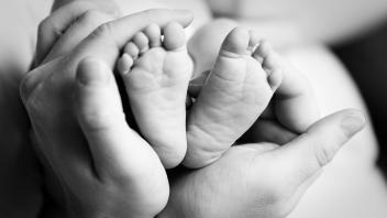 Baby foot in hands Baby foot in hands PUBLICATIONxINxGERxSUIxAUTxONLY Copyright: xbartoszbieniax 947370