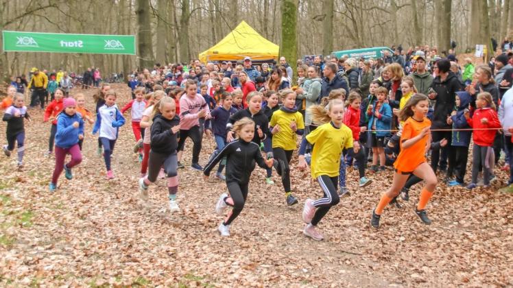 Es war ordentlich was los in der Hagenower Bekow, hier beim Start der W9-Mädchen. Es war ordentlich was los in der Hagenower Bekow, hier beim Start der W9-Mädchen.