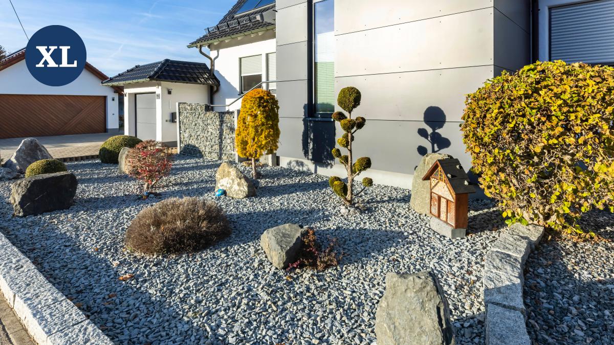 Biologie Ulf Soltau kämpft gegen Schottergärten