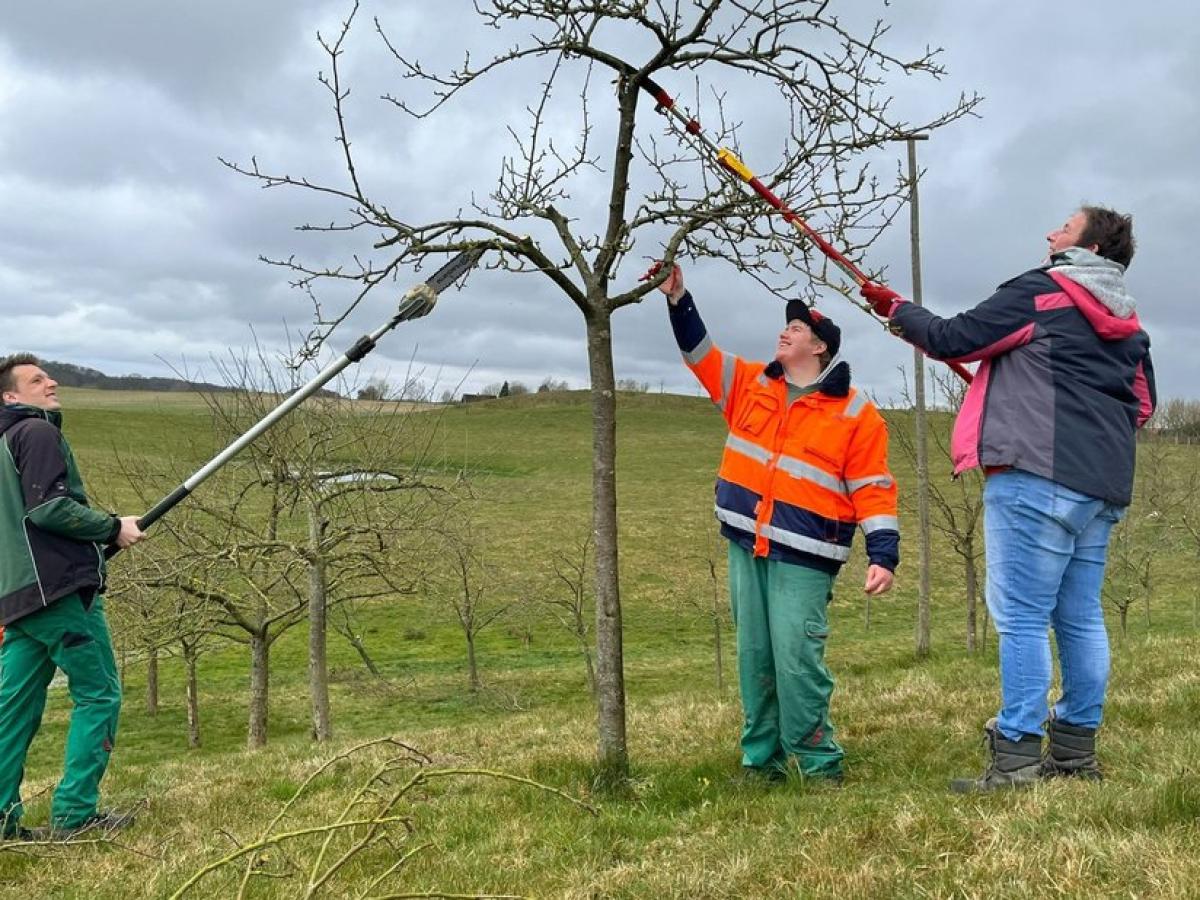 Corona trifft auch Arche Hof Kneese SVZ