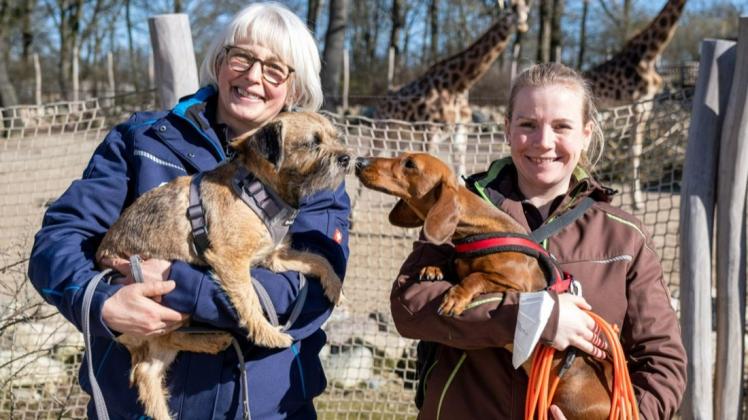 Schnauze an Schnauze: Border Terrier Sunny und Glatthaardackel Ida verstehen sich prächtig. Die Zoo-Mitarbeiterinnen Astrid Haberlandt und Venna König (rechts) bringen ihre Hunde regelmäßig mit in den Tierpark.