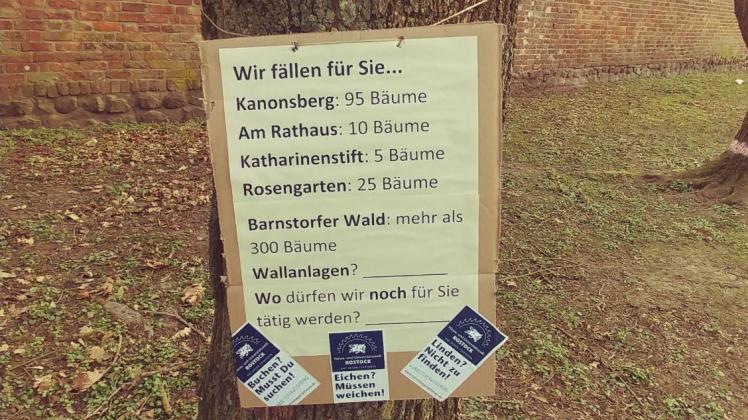 Fünf aktuelle Rostocker Baumfällmaßnahmen der letzten Monate zählt das Satirekollektiv rostockagainstfuture in seiner aktuellen Aktion auf. 