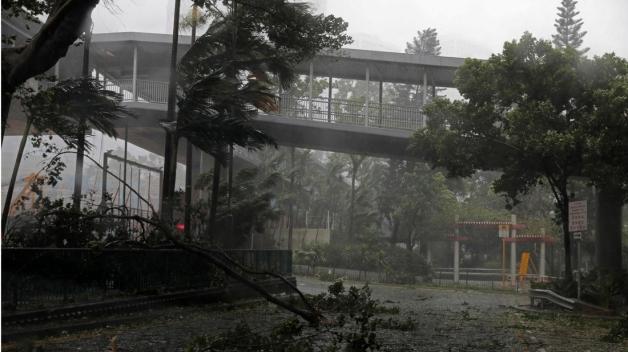 Umgefallene Bäume in Hongkong: Das nationale Wetteramt gab am Sonntag die höchste Taifun-Alarmstufe. Foto: Vincent Yu/AP/dpa