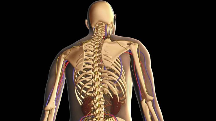 Mit der elektrischen Rückenmarkstimulation versuchen Mediziner bei einer Querschnitt-Lähmung, die verletzte Stelle zu überbrücken.