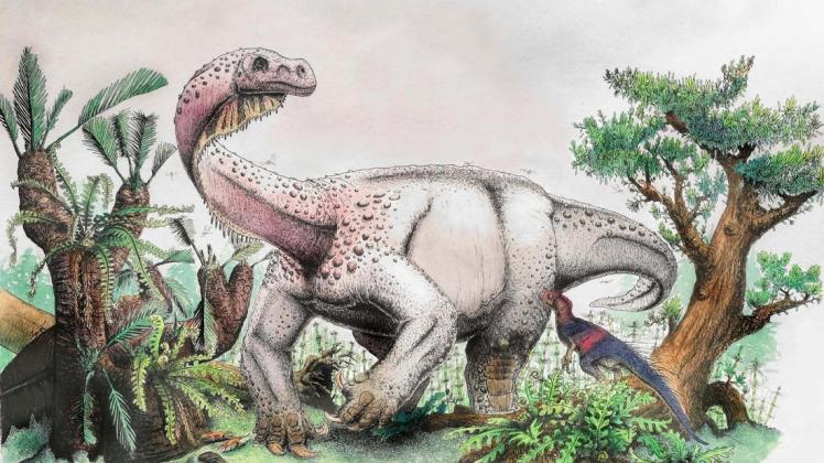 Die künstlerische Darstellung zeigt einen Dinosaurier der Art "Ledumahadi mafube" (frei übersetzt etwa "Donnergroll im Morgengrauen").
