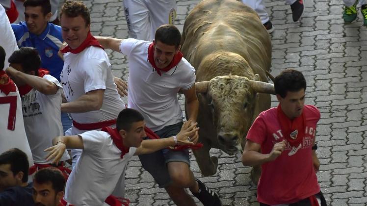 Während des "Sanfermines"-Festes in Pamplona werden täglich am frühen Vormittag Kampfbullen und Leitochsen von Hunderten von Männern und wenigen Frauen, für die Stierkämpfe am Abend, durch die Gassen in die Arena gejagt. Foto: dpa/Alvaro Barrientos/AP