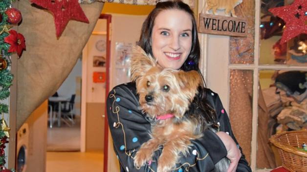 Yorkshire-Terrier-Hündin Dina ist mit Lena Hoffmann zur Bescherung im Tierschutzhof gekommen. 