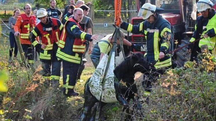 Rückblick: 2016 wurde in Ganderkesee-Neuenlande ein in einen Graben gestürztes Pony mit einem Tierrettungsgeschirr angehoben. Archivfoto: Thorsten Konkel