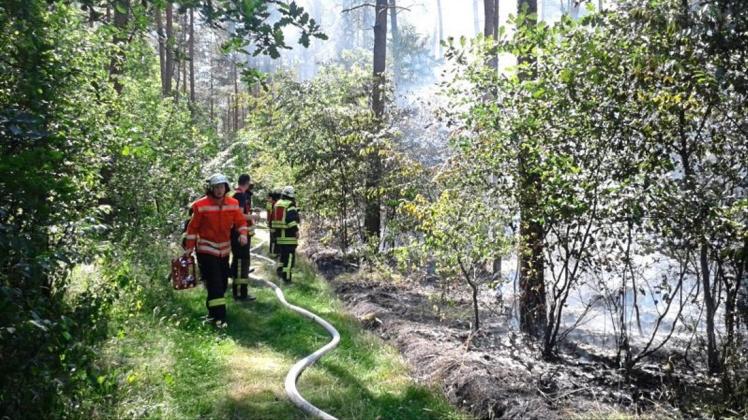 Nach etwa zwei Stunden hatten die Feuerwehren das Feuer im Waldgebiet am Berger Damm in Bippen unter Kontrolle gebracht. 