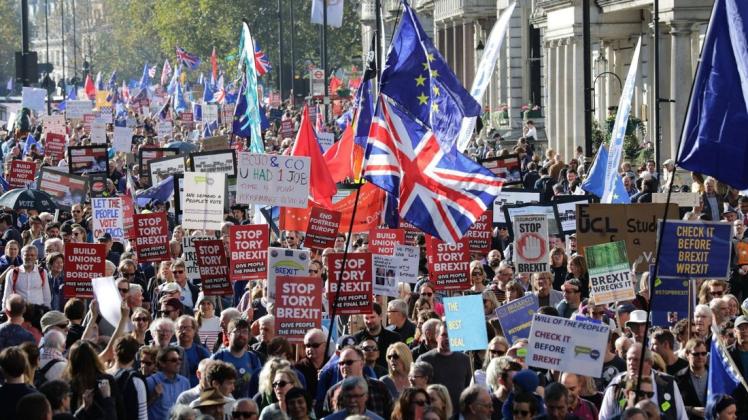 Die Brexit-Gegner kämpfen weiter für eine zweite Wahl.  Foto: Imago/Rob Pinney