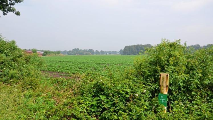 Bestandsschutz genießen die landwirtschaftlichen Gebäude im künftigen Industriegebiet Eiker Esch (links). 